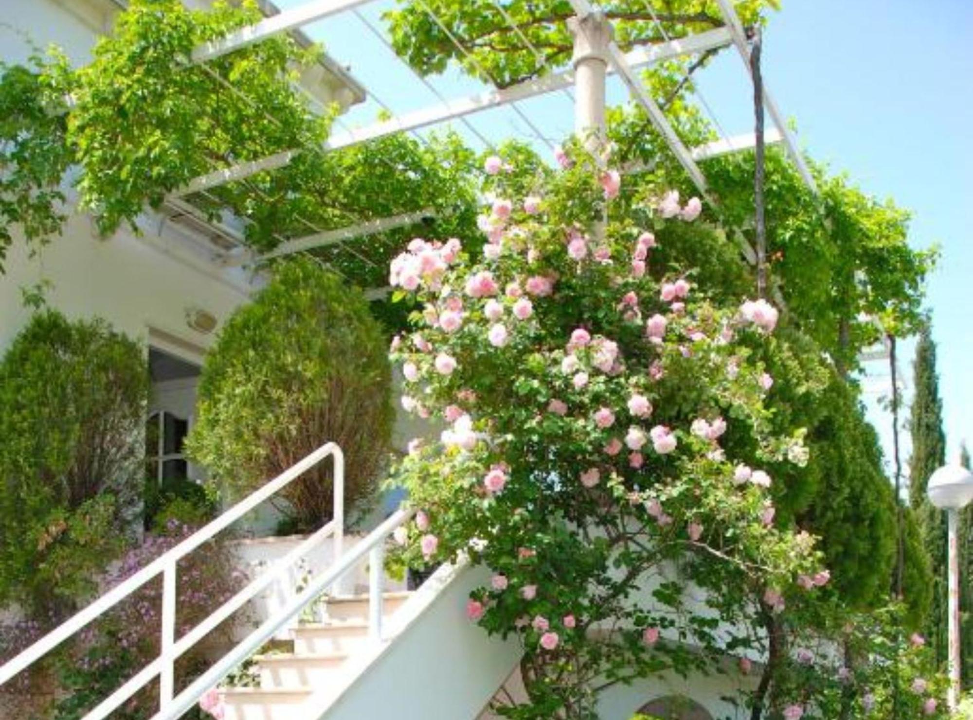 Villa Mediterranea Mlini Buitenkant foto